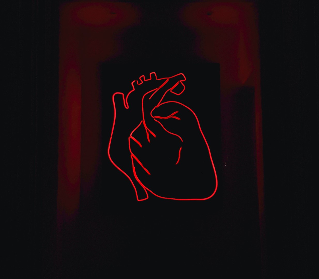 Le contour rouge d'un cœur humain anatomique, dessiné au néon, se détache sur un fond sombre.